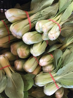 Greens - Shanghai Bok Choi (Asian)