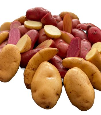 Certified Seed Potato (per lb)