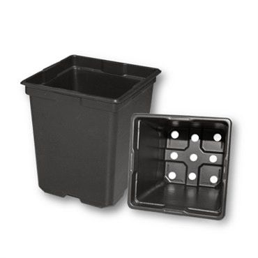T.O. Plastics Square Deep Pot (5.5 &quot;x 6&quot;)