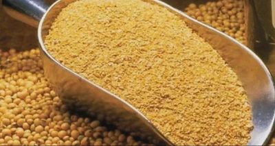 Soybean Meal Organic 50LB Bag