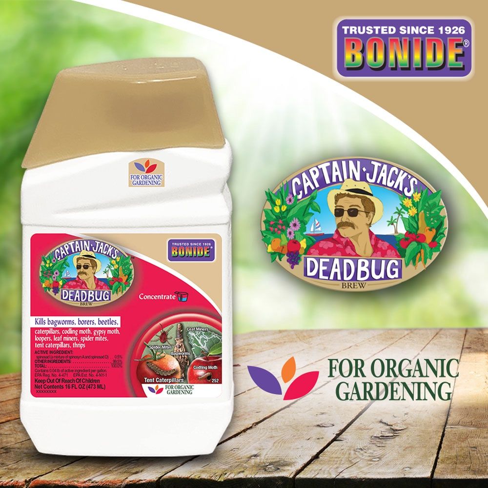 Bonide® Captain Jack’s™ Deadbug Brew, Volume: 16 oz