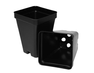 T.O. Plastics 2.5" Square Pot
