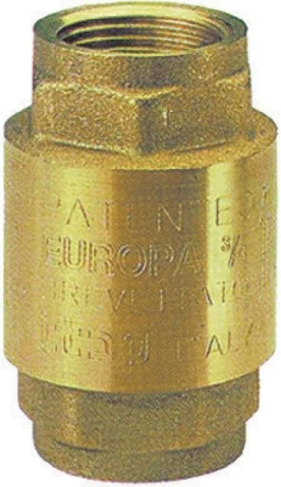 VALV.RITEGNO EUROPA 2"1/2