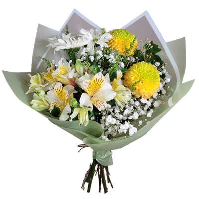 თაიგული A9