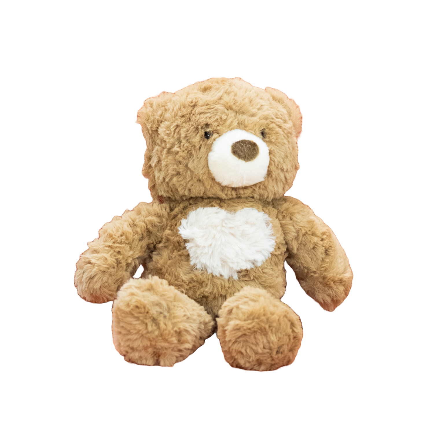 Fluffy teddy bear