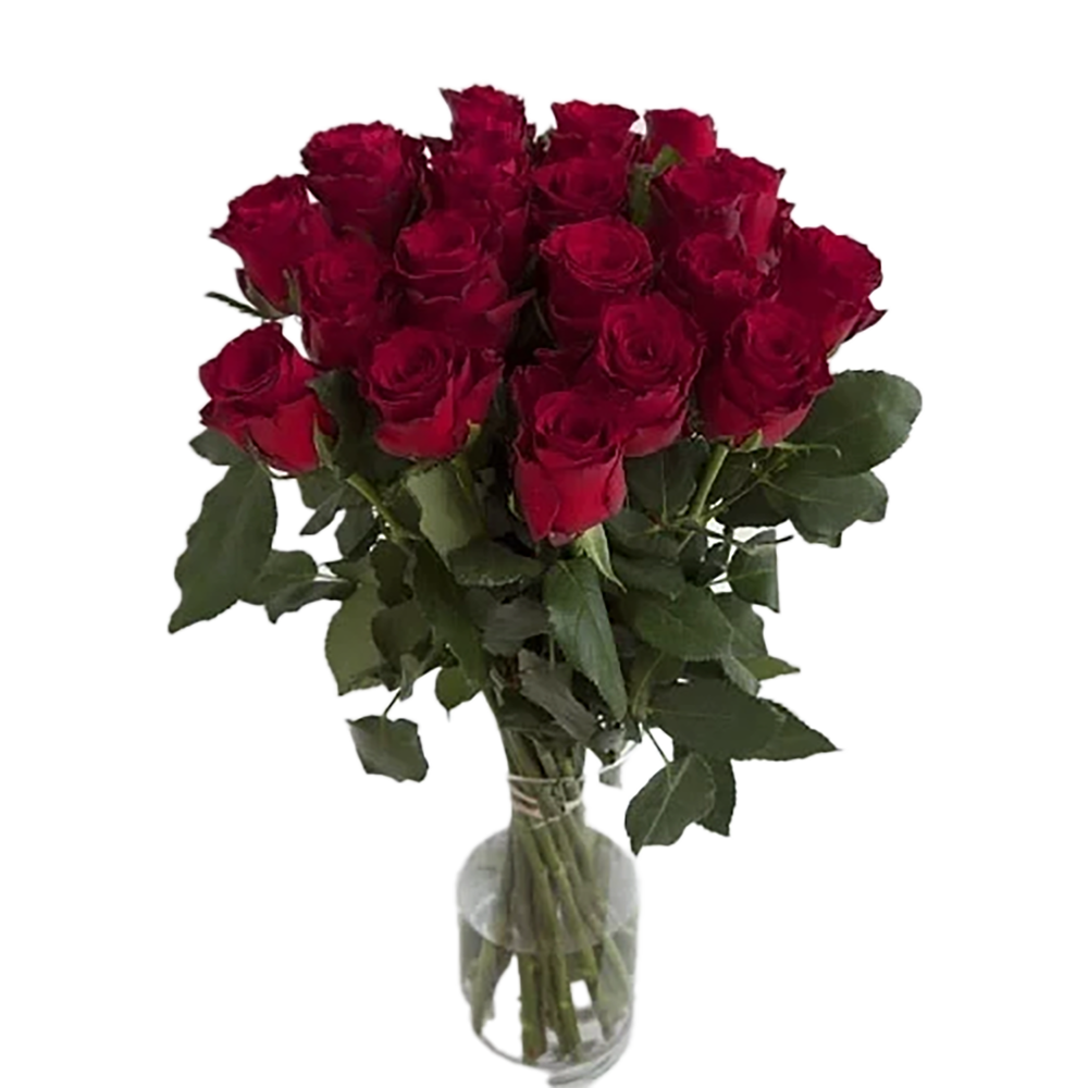 Red roses (5 to 101)