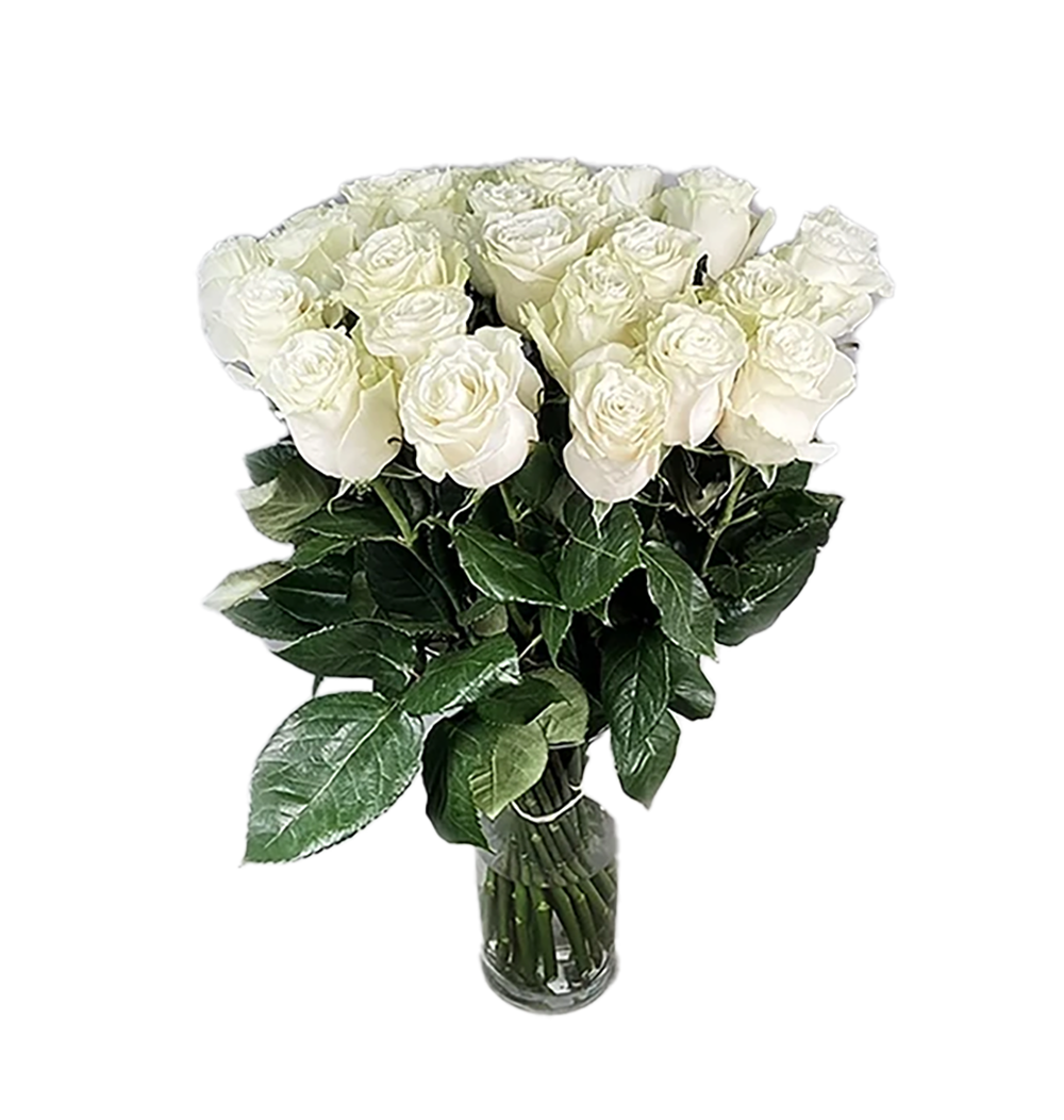 White roses (5 to 101)