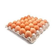 Huevos Carton extra x 30