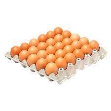 Huevos Carton x 30 AA