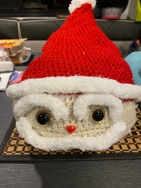 Santa pillow Pal