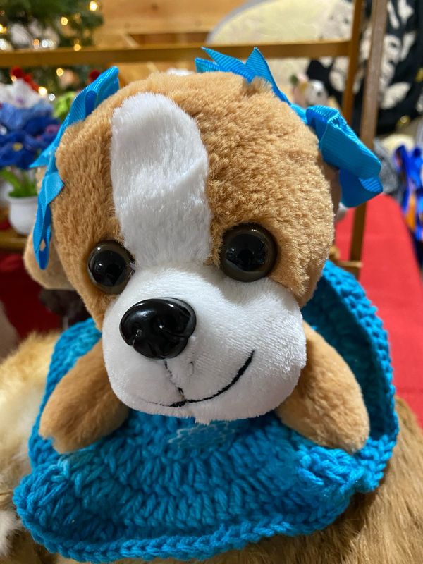 Cute Puppy
