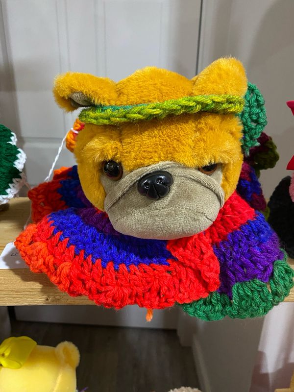 Puppy In Cute Crochet Dress