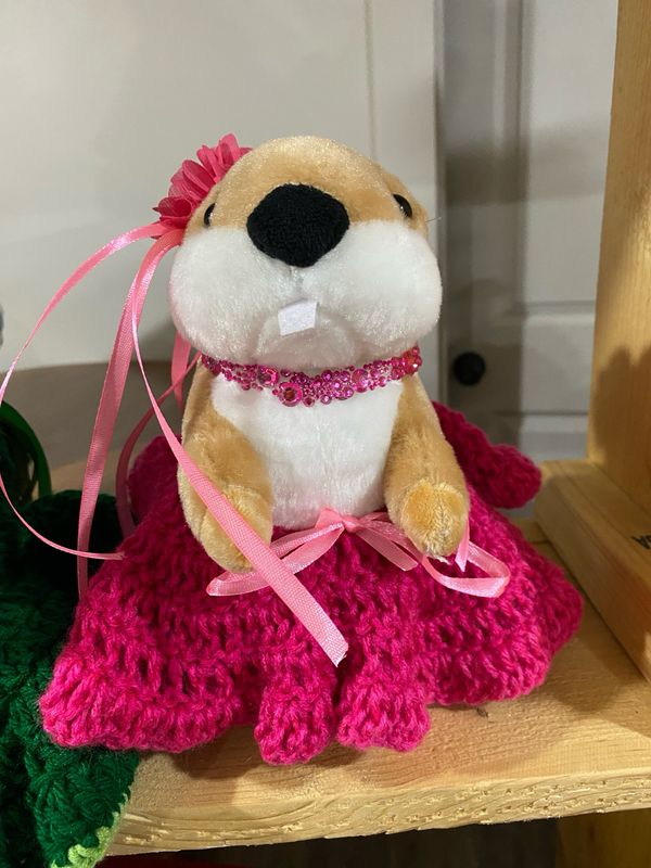 Beaver In Dress