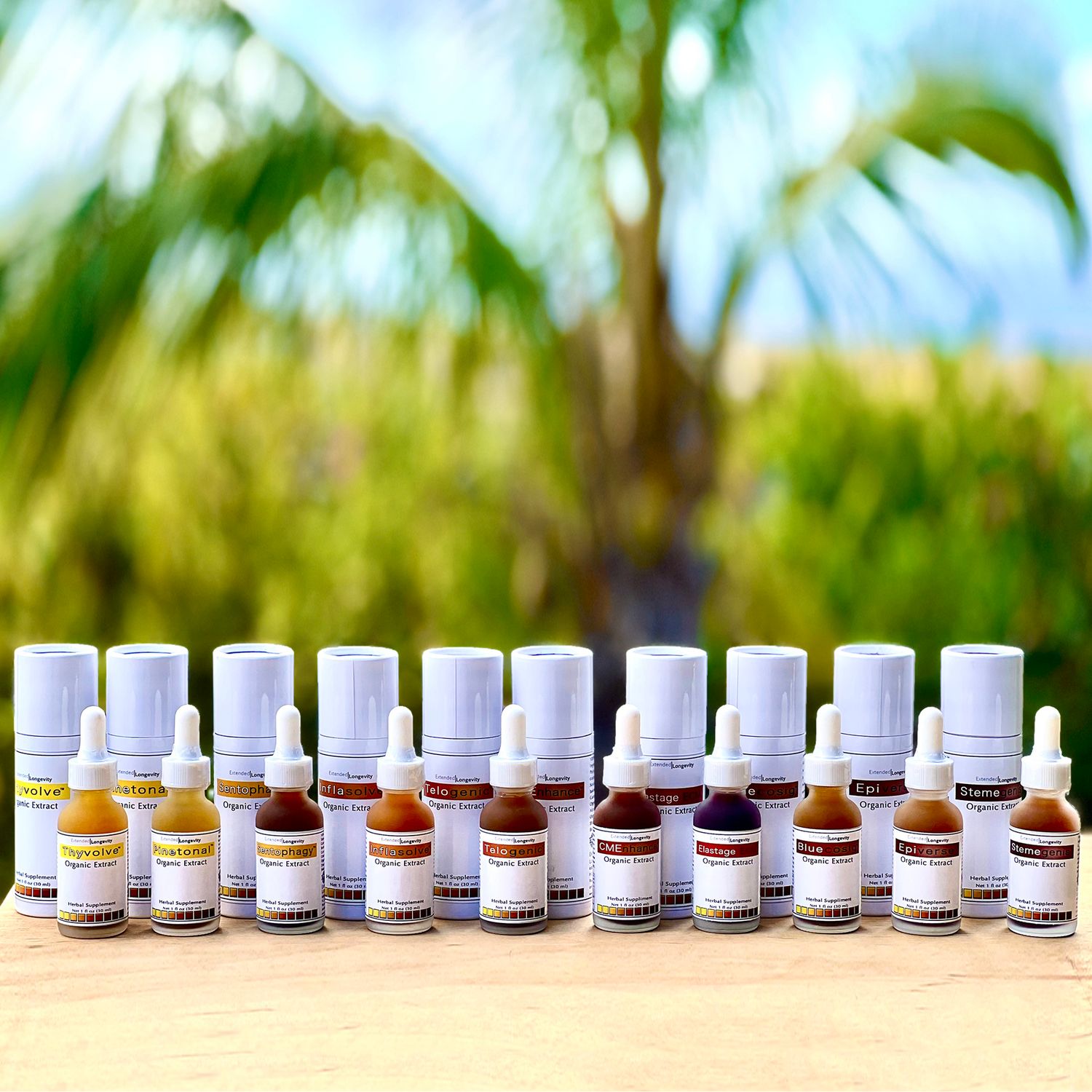 Extended Longevity Set of 10 Products