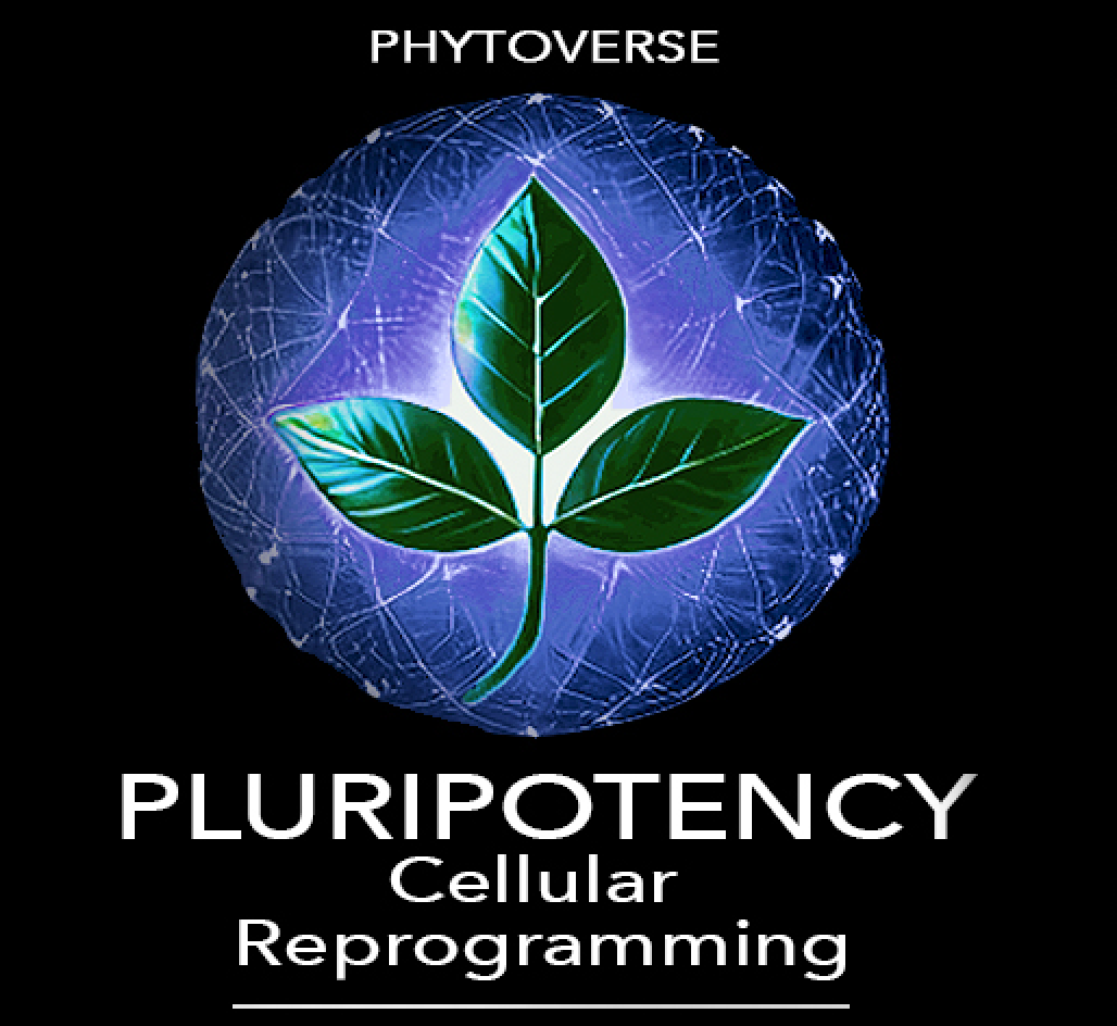 Pluripotency Enhancement Formula