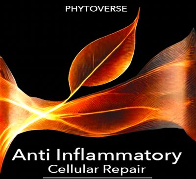 Anti-Inflammatory Cellular Repair Formula