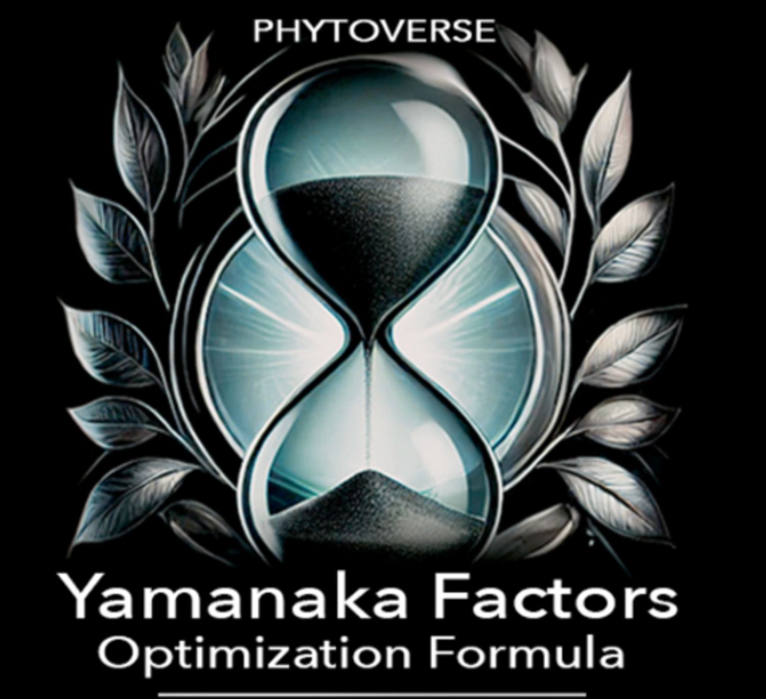 Yamanaka Factors Optimization Formula