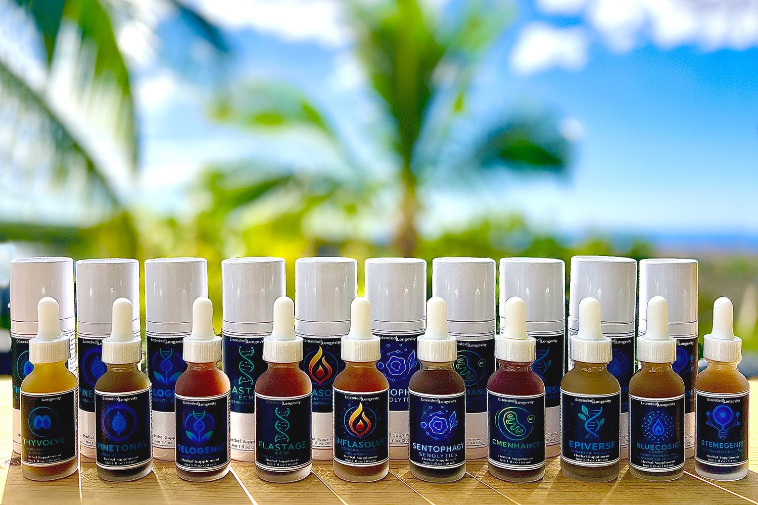 Extended Longevity Set of 10 Products