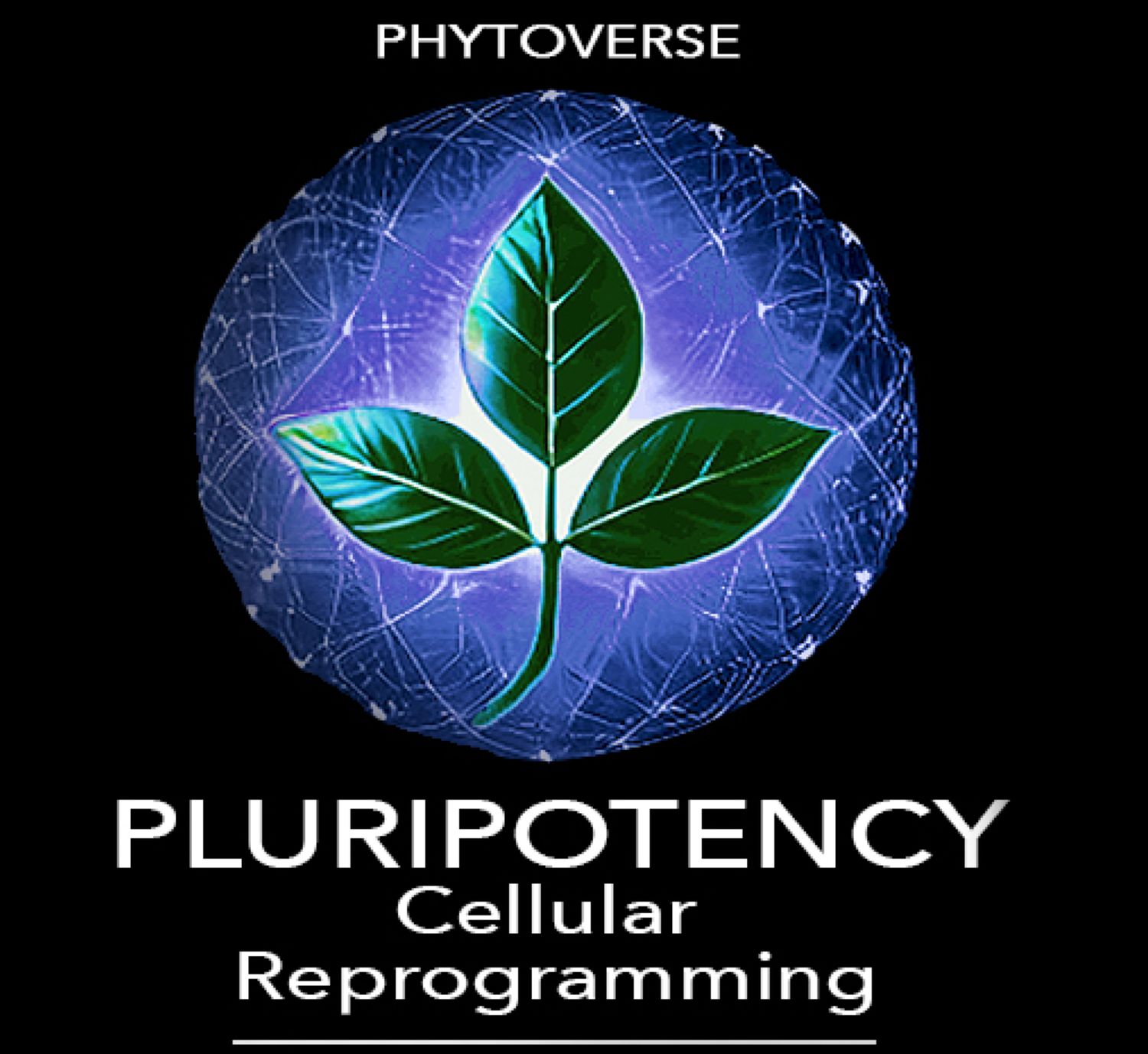 Pluripotency Enhancement Formula