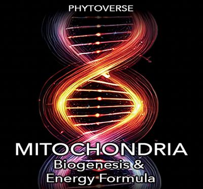 Mitochondrial Biogenesis and Energy Formula