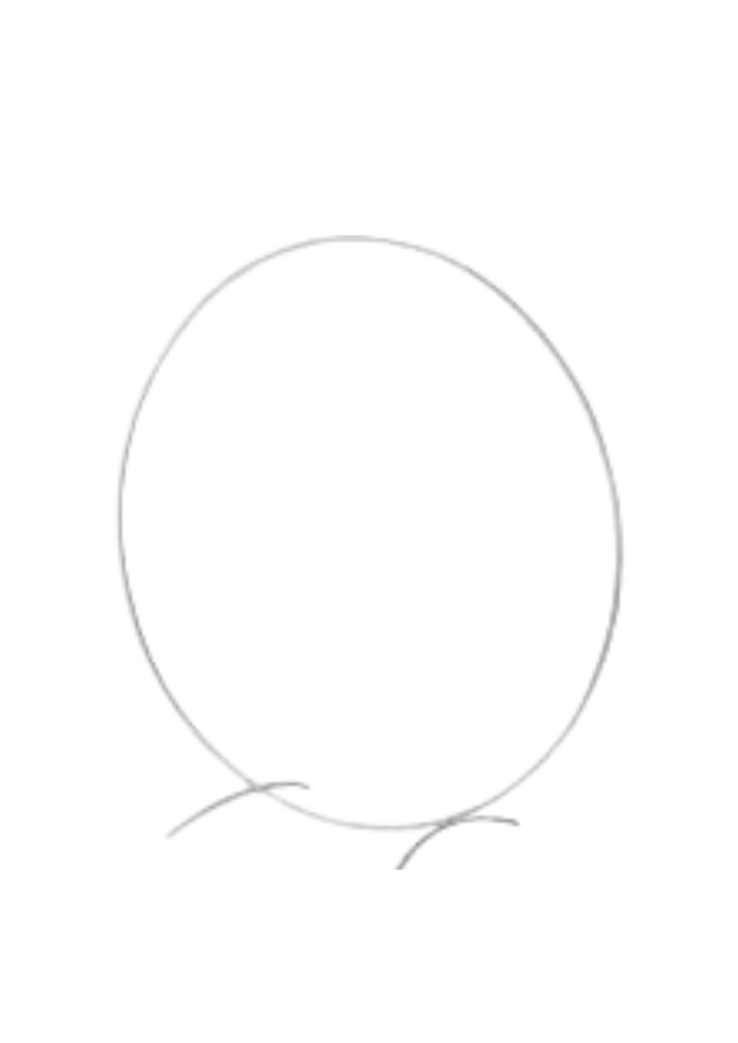 8ft. Heavy Duty Metal Circle Arch