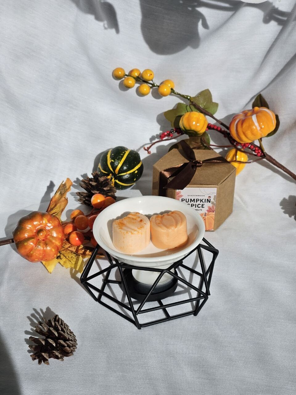 Wax Melts Pumkin Spice