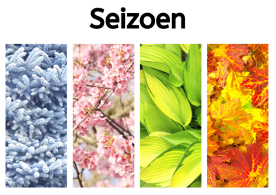 Seizoen