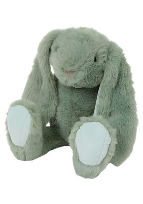 Gepersonaliseerd Knuffel Konijn met Naam groen