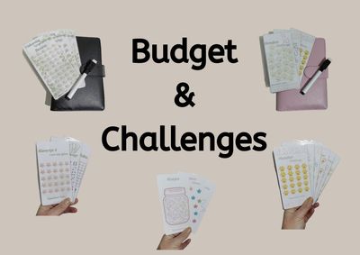 Budget & Challeges