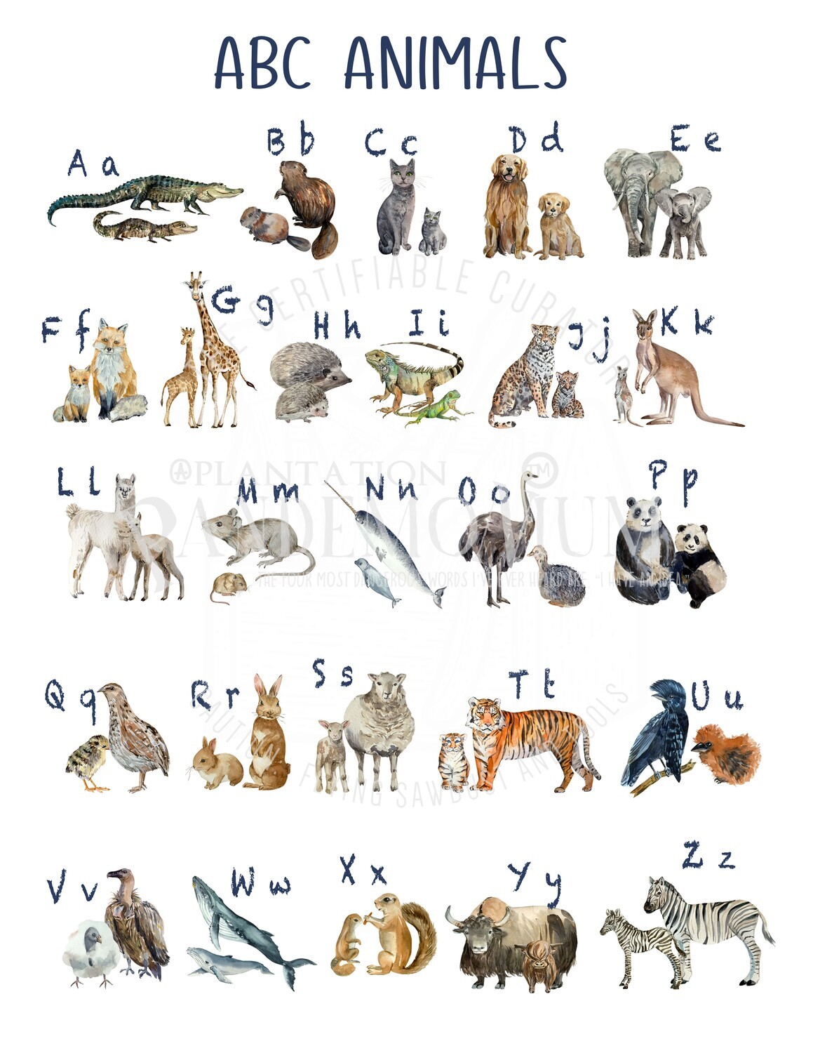 Animal Alphabet Chart for Little Learners