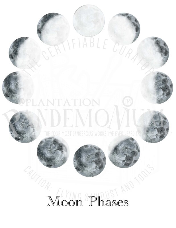Moon Phase Chart for Homeschoolers