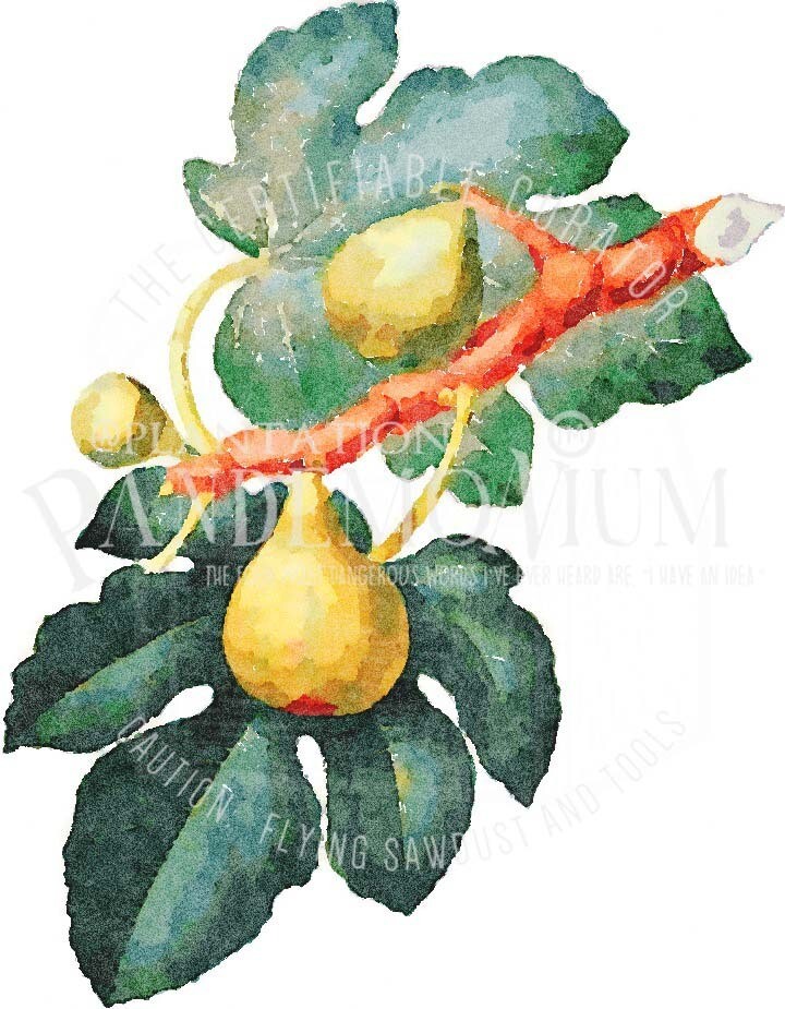 Fig Watercolor Print
