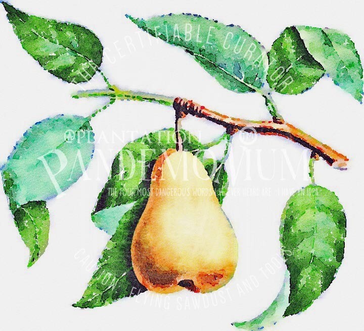 Ripe Golden Pear Watercolor