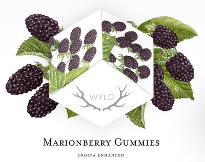 WYLD Cannabis-Infused Marionberry Gummies