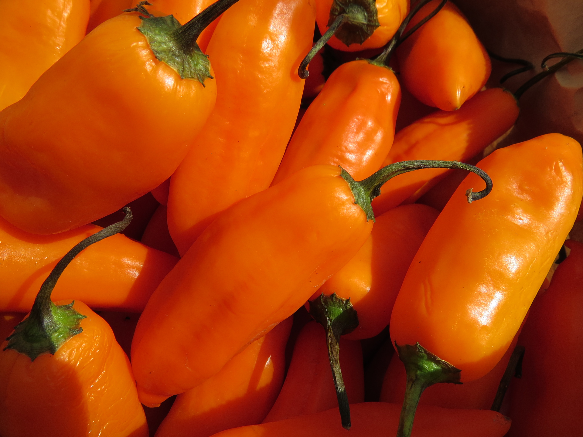 Aji Amarillo hot sauce ?️?️?
