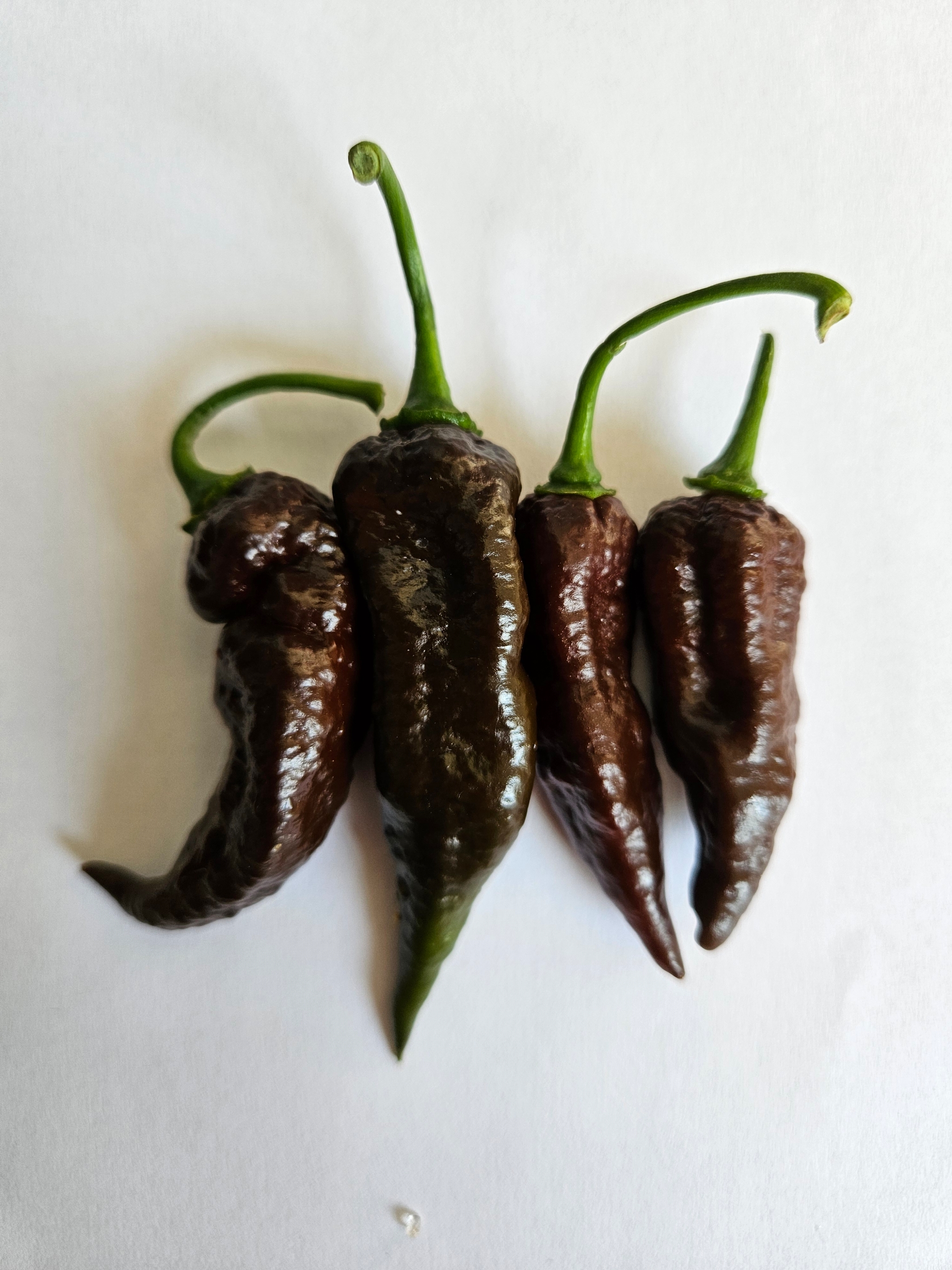 Hot, sweet & sour black Naga ?️?️?️?