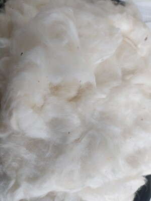 Cotton Flock (Filler for Epoxy Resin)