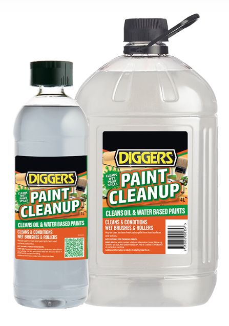 Paint Cleanup