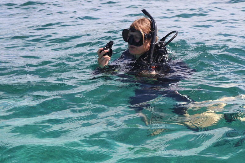 CURSO OPEN WATER