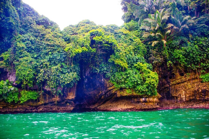 TOUR CONTACTO NATURAL