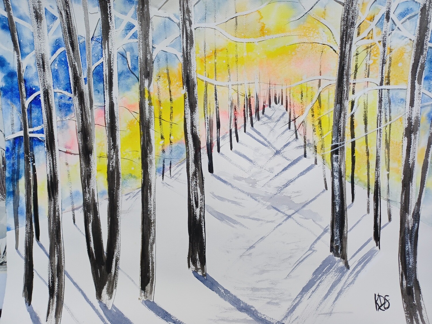 Shadows in the Snow