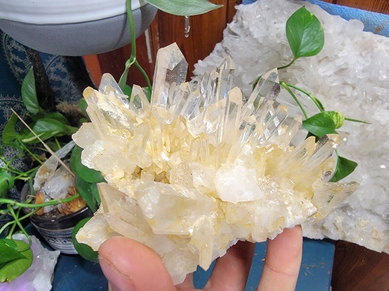Golden Healer Lemurian Quartz Crystal Cluster