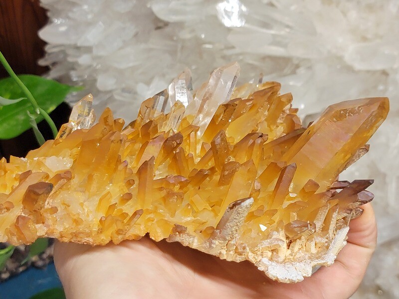 Raw High grade Golden Healer Quartz Crystal cluster