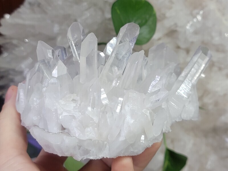 Arkansas Glassback Quartz Crystal Cluster
