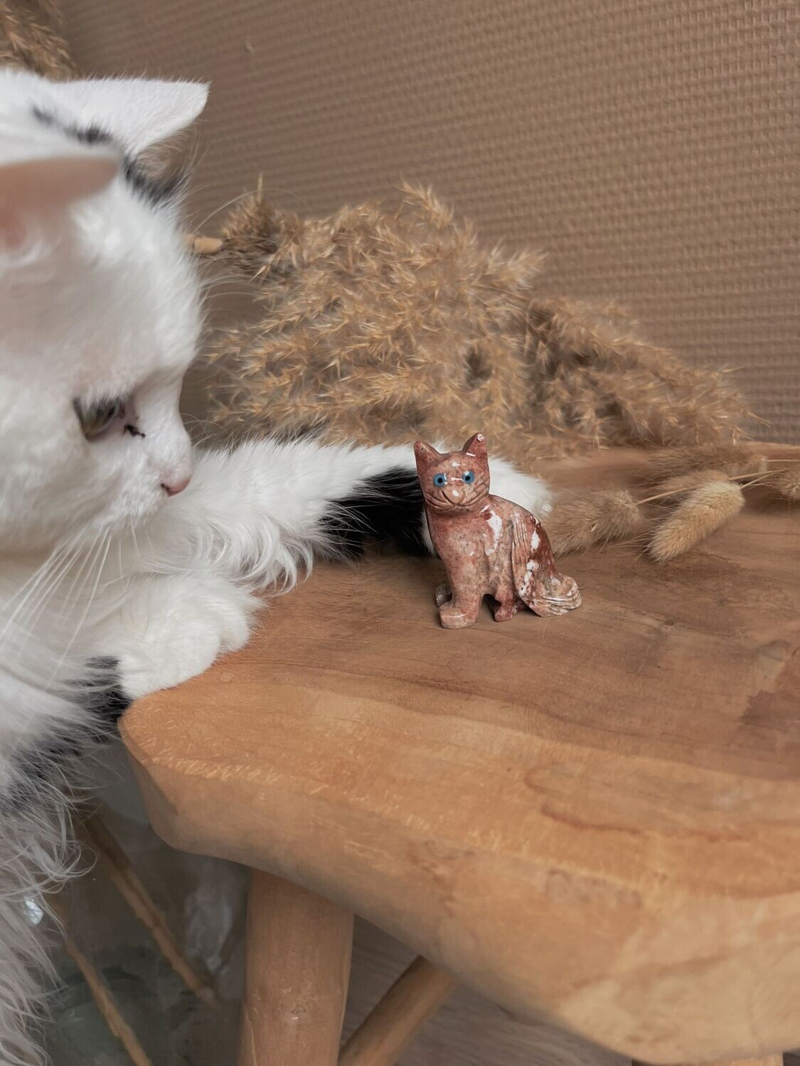 Speksteen kat