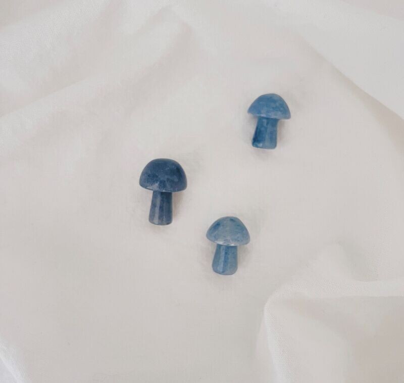 Mushroom blauwe kwarts