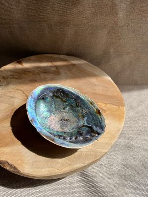 Puau Schelp Puau Schelp