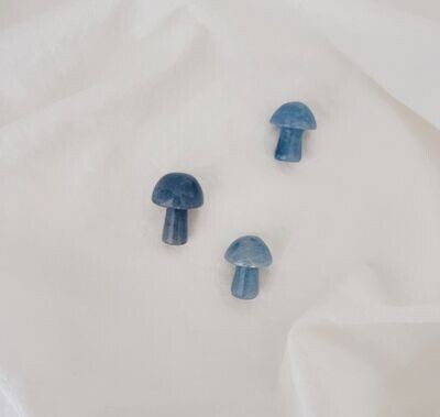 Mushroom blauwe kwarts Mushroom blauwe kwarts