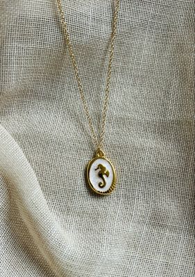 Ketting zeepaardje