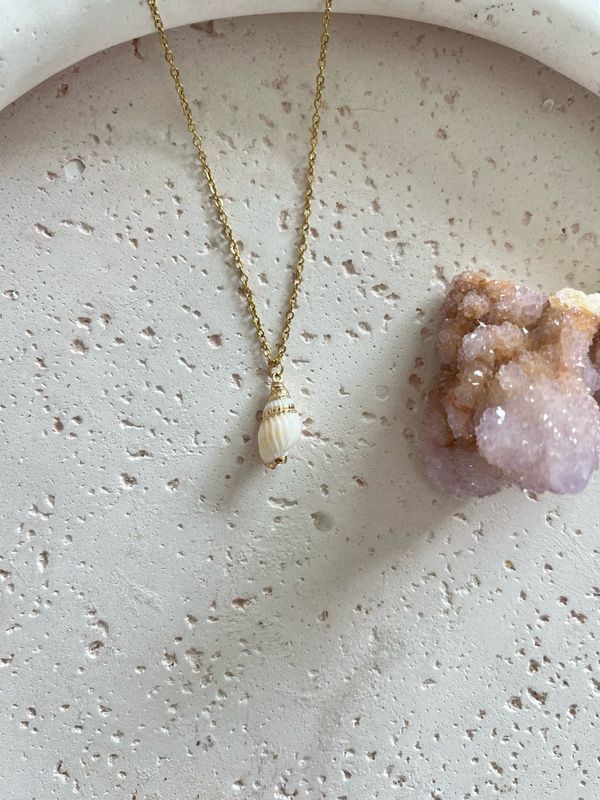 Ketting schelpje